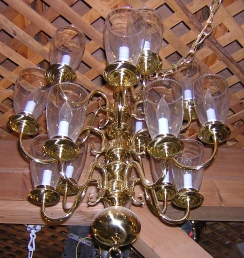 OCF07119