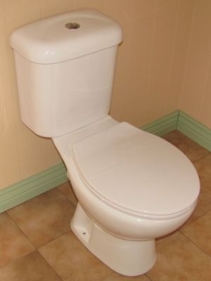 4" center toilet