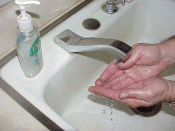 Holding hands under faucet