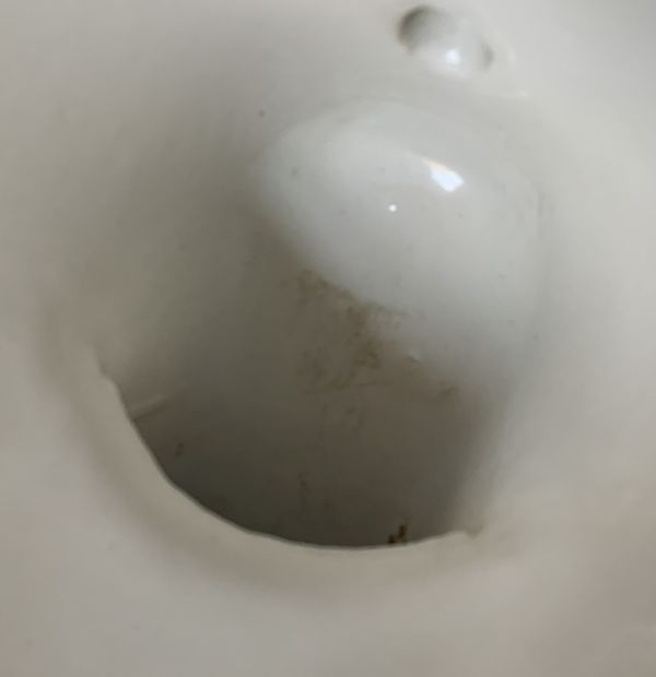 Kohler toilet trap